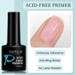 Zenat Translucent Jelly Gel Nail Polish