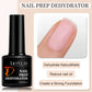 Zenat Red Autumn Winter Gel Nail Polish